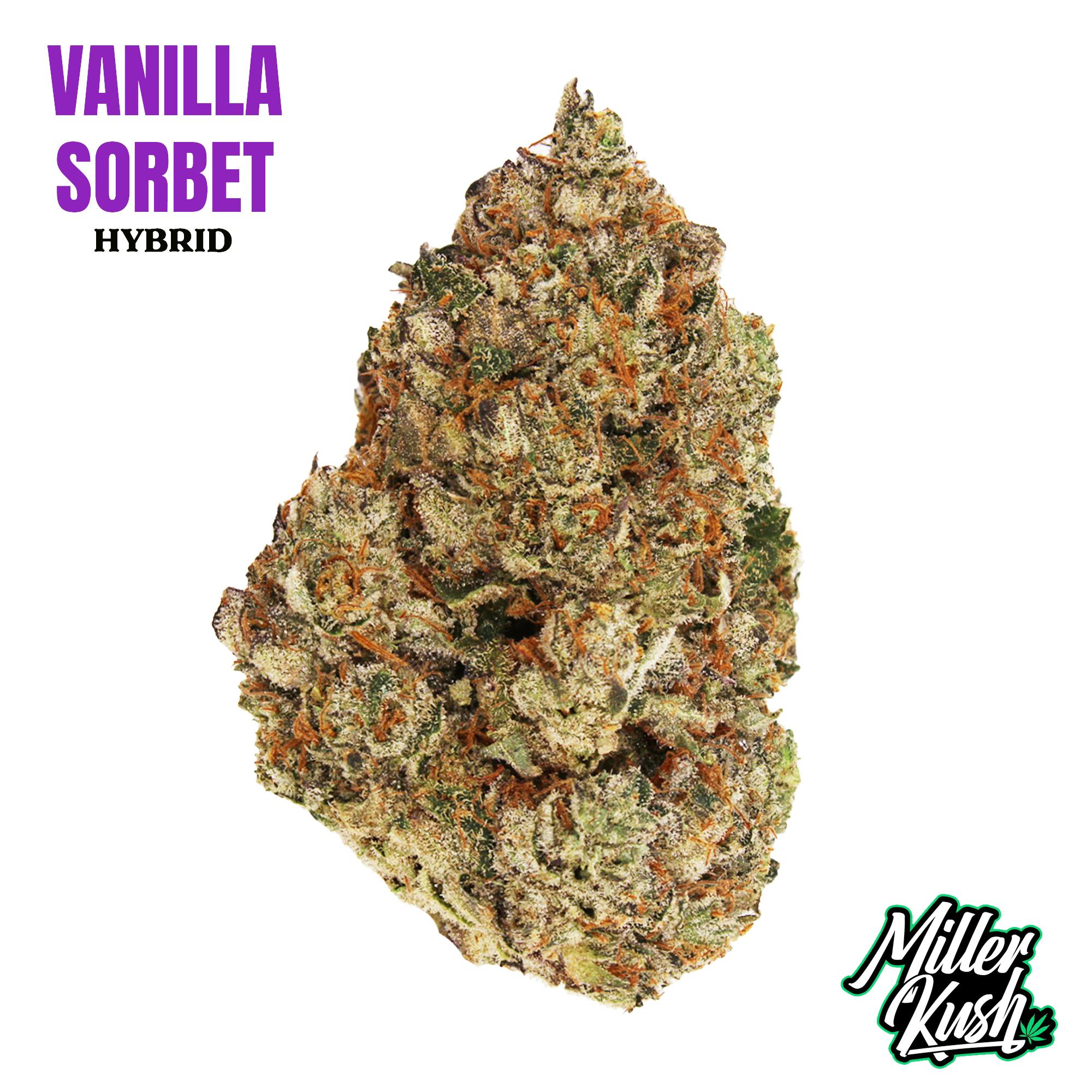 Vanilla Sorbet 3.5 Grams - M.K.