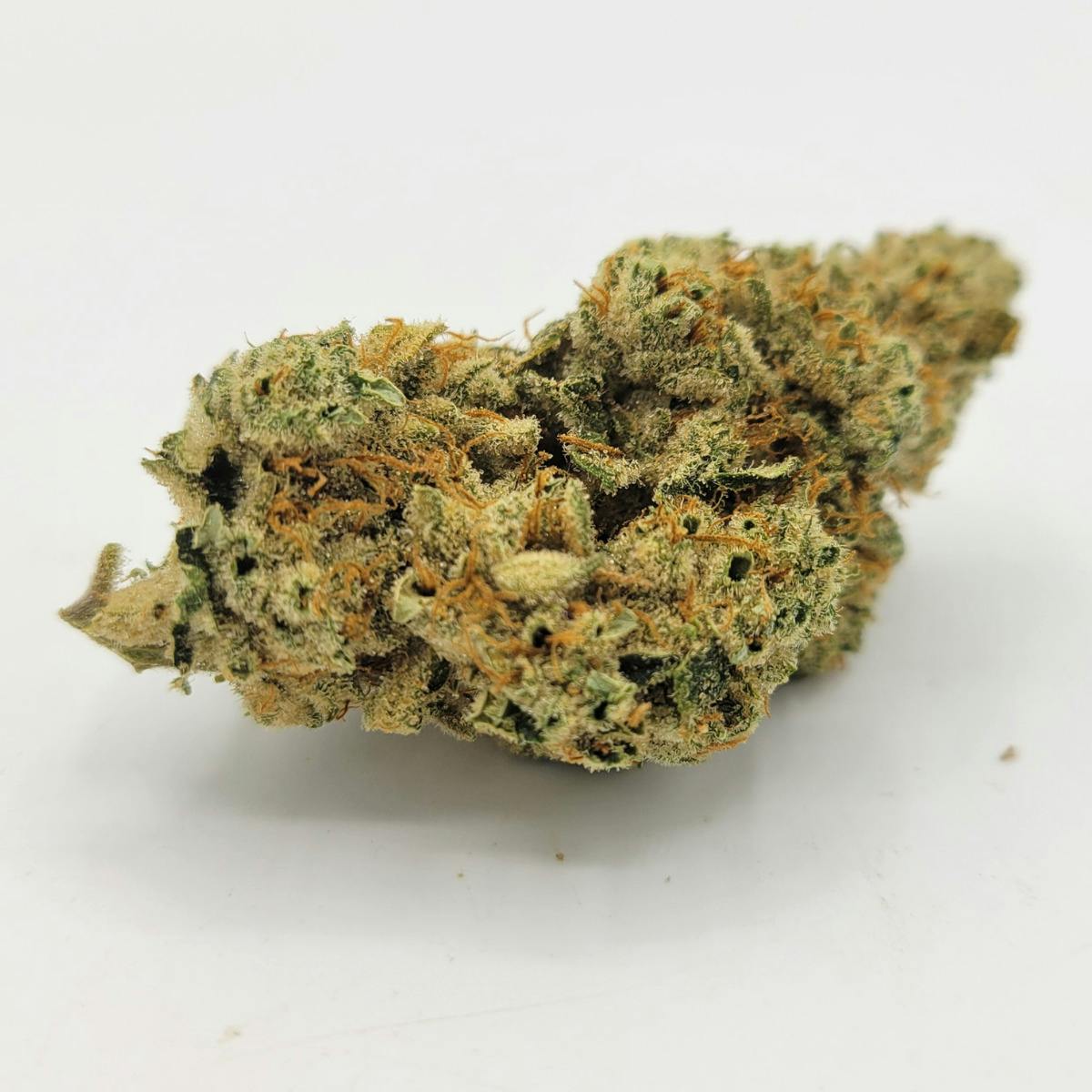 Vortex - Connoisseur at The Healing Community MEDCo