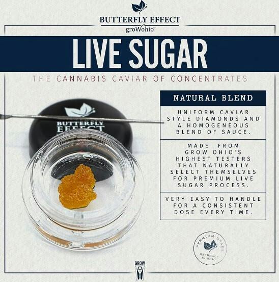 Inferno Live Sugar - 1326228 at Trulieve Zanesville Dispensary