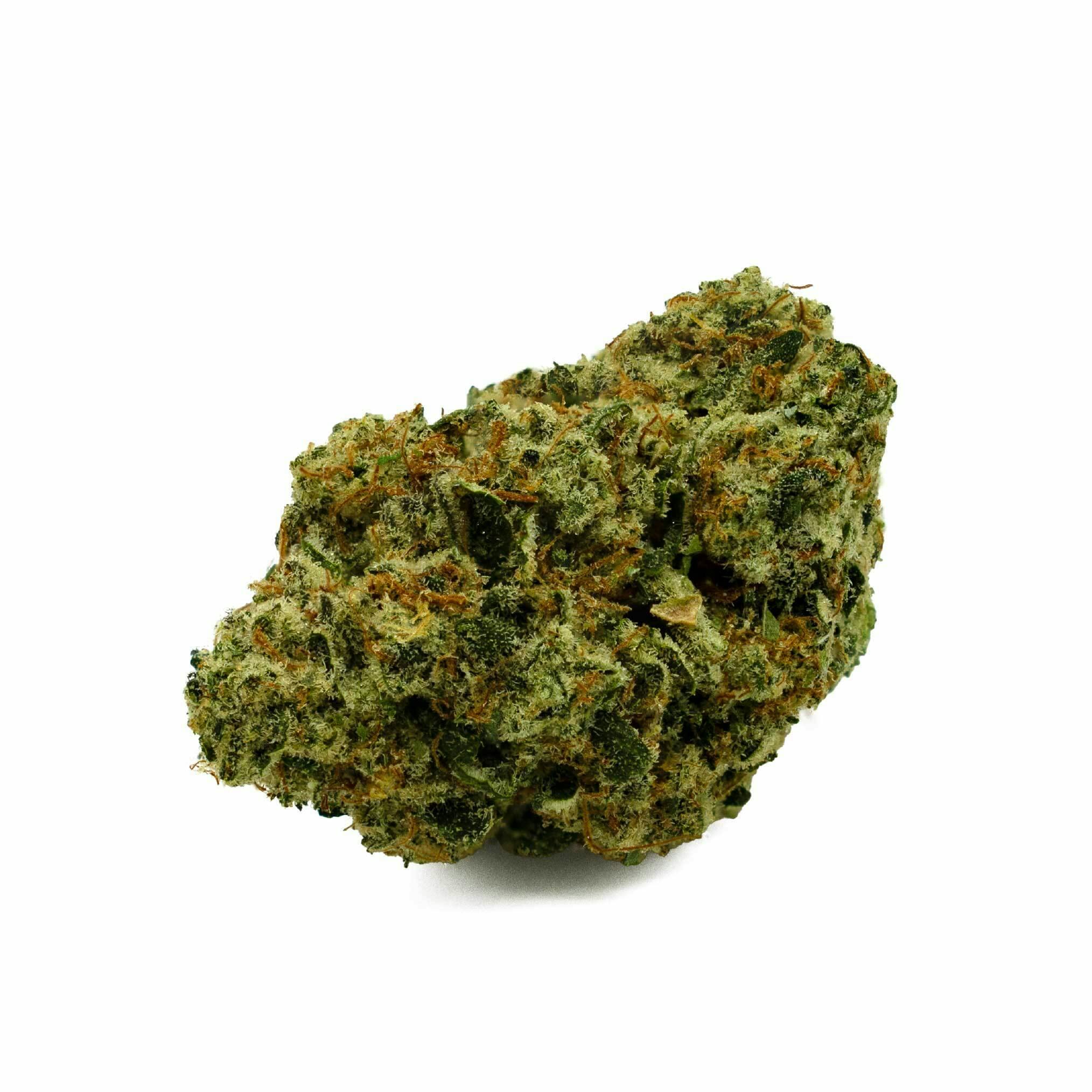 Gush Mints Flower at Trulieve Medical Marijuana Dispensary Whitehall