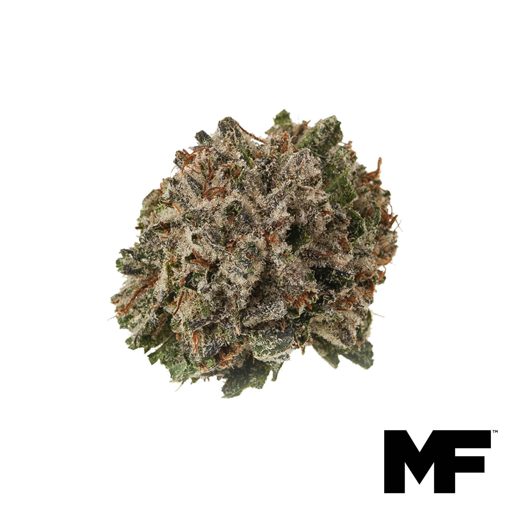 Bong Voyage Flower - 1386873