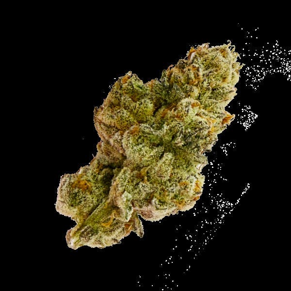Glitter Bomb Premium Flower
