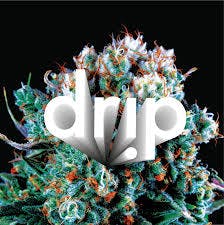 AU Drip Cart 1g - (Platinum OG)