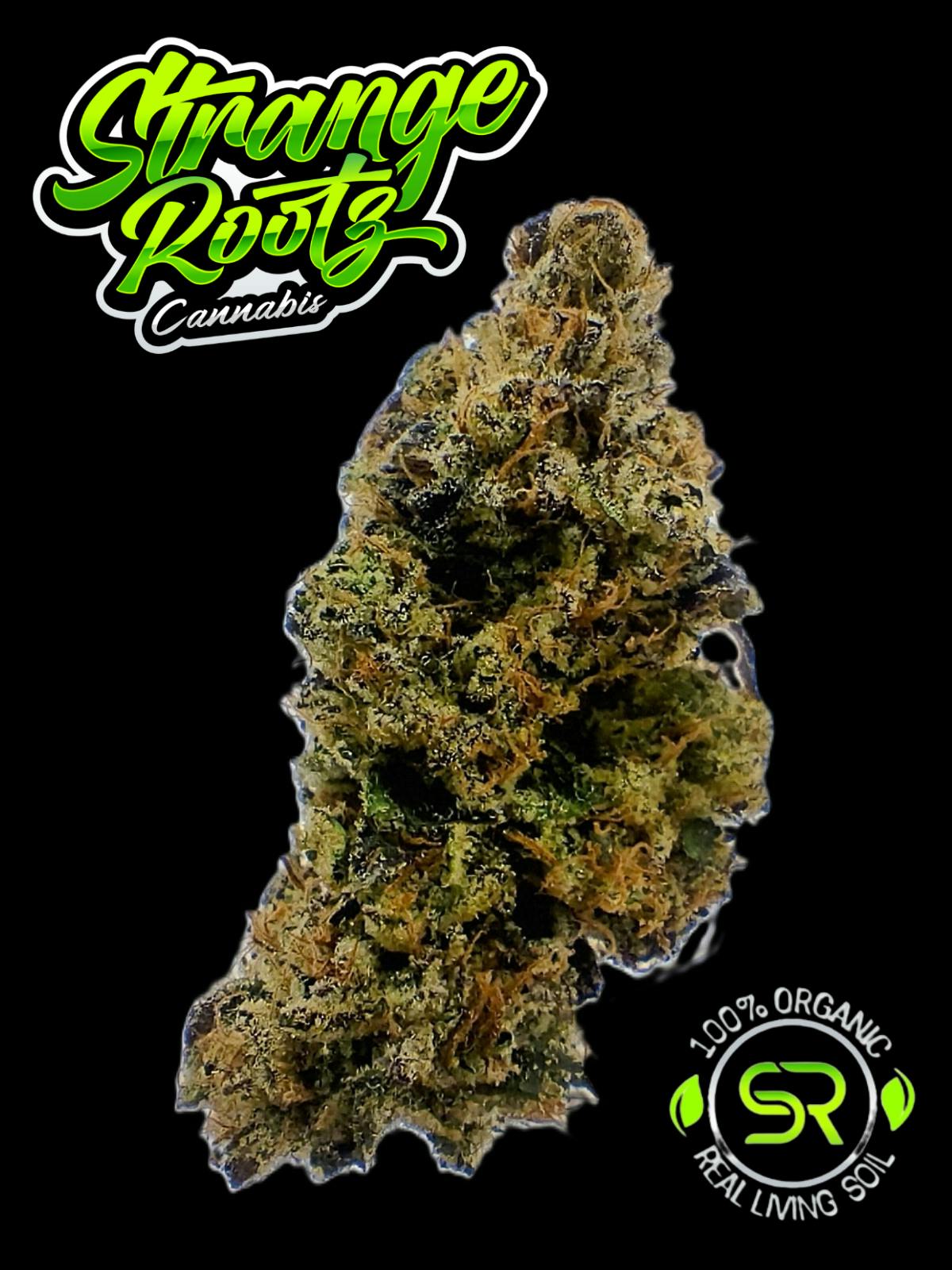Cherrylicious Buds