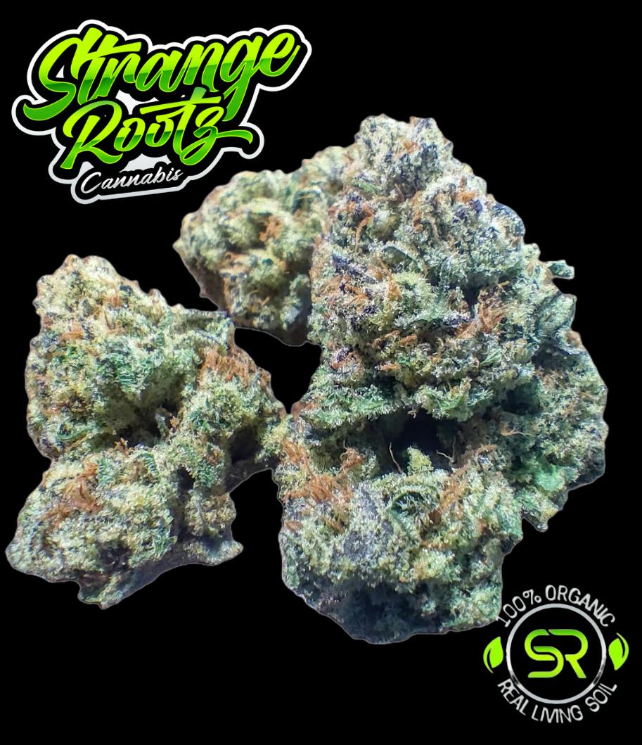 Giggle Gas #1 (Buds)