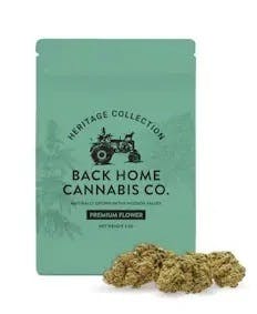 Back Home | Flower | Jack Herer (Sativa) | 3.5g
