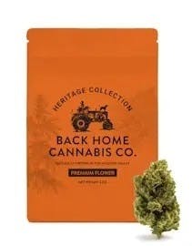 Back Home | Flower | Acapulco Gold (Sativa) | 14g