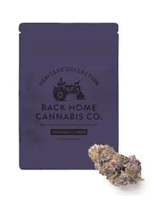 Back Home | Flower | Gorilla Glue (Hybrid) | 3.5g
