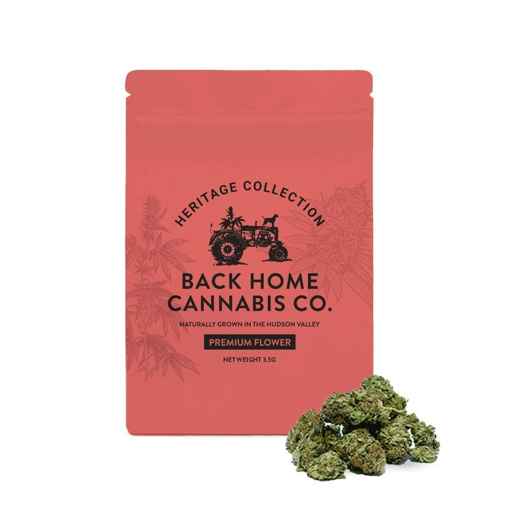 Back Home | Flower | Jack Herer (Sativa) | 14g