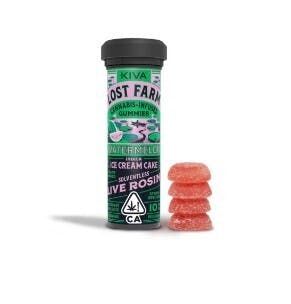 Watermelon X Ice Cream Cake