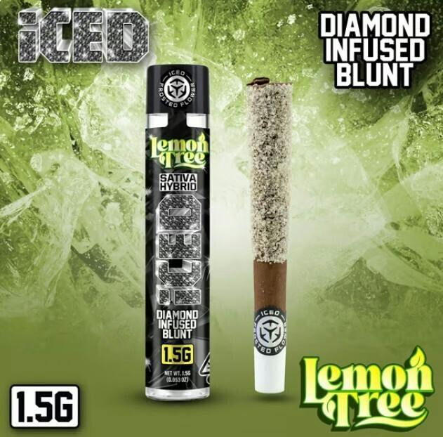 ICED LEMON TREE BLUNT - 1.5 g