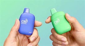 CBDfx 1500mg 5.0ml | - Watermelon Skit