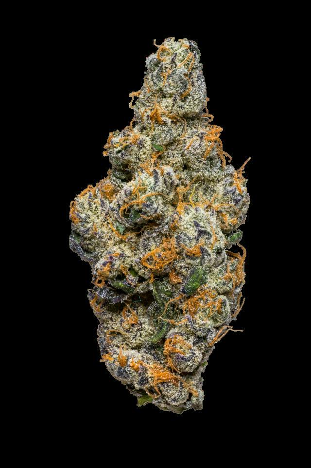 HOG Hypno Stank Buds