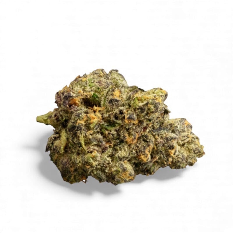DogHouse Mega Buds