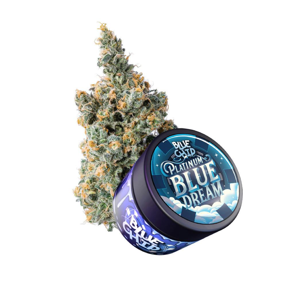 Blue Chip - Platinum Blue Dream 3.5g
