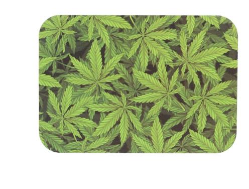 7" x 5" Small Art Metal Rolling Tray with Magnetic Lid - Leaves