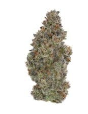 Wave Runner - Ice Cream Cake — 1 gram