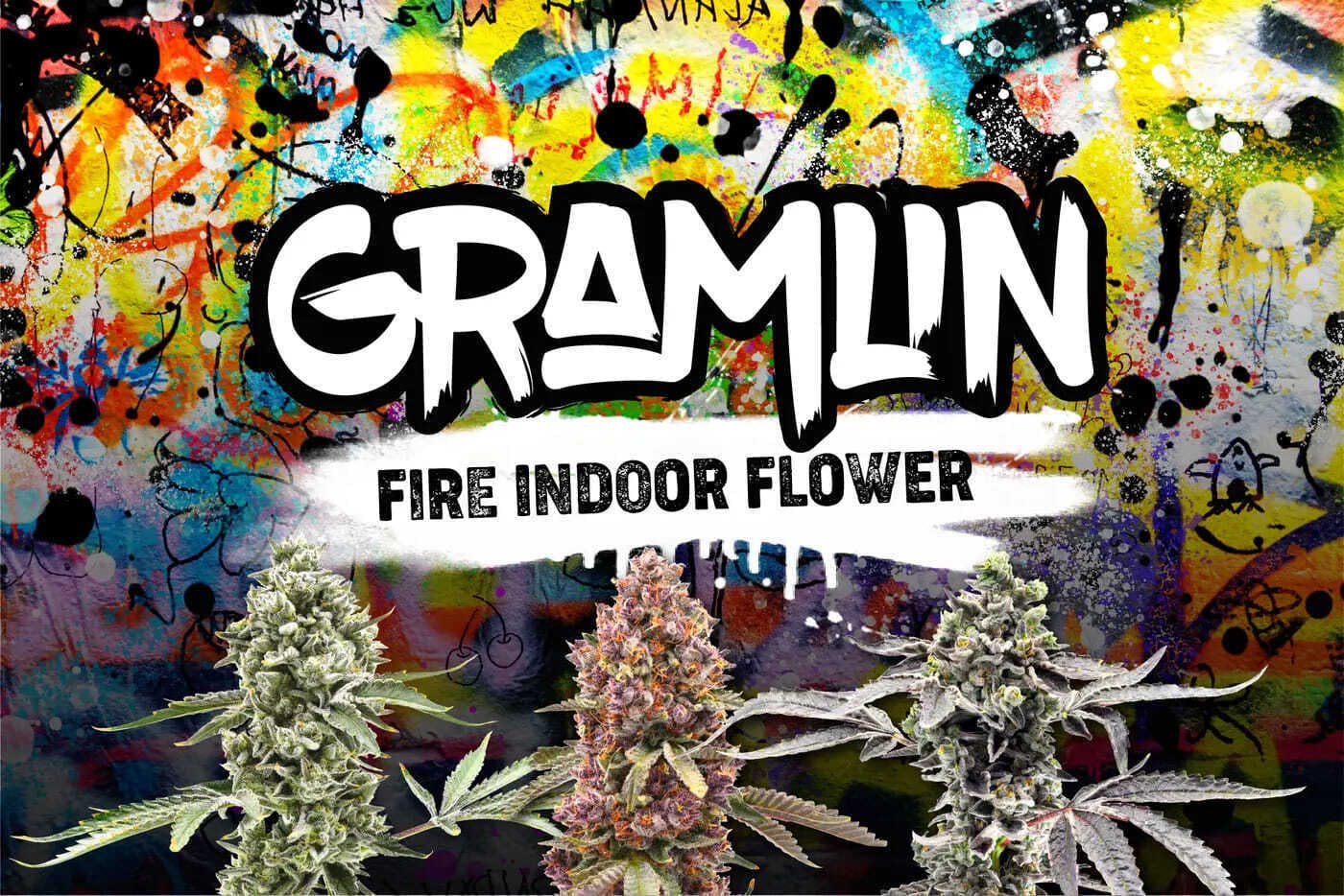 Gramlin - Raspberry OG — X 5