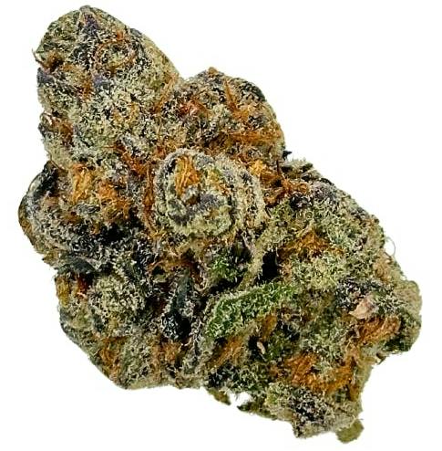 ZERO GRAVITY X MAI TAI 28G