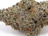 GLITTER BOMB X SWEET TEA PP 3.5G (H)