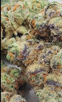 ZERO GRAVITY X MAI TAI 3.5G