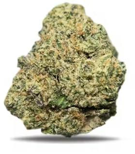 STAR WORLD 14G (S/I)