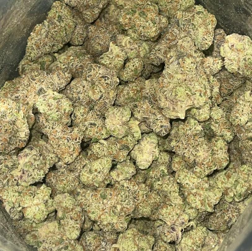 VICE CITY 14G (S/H)