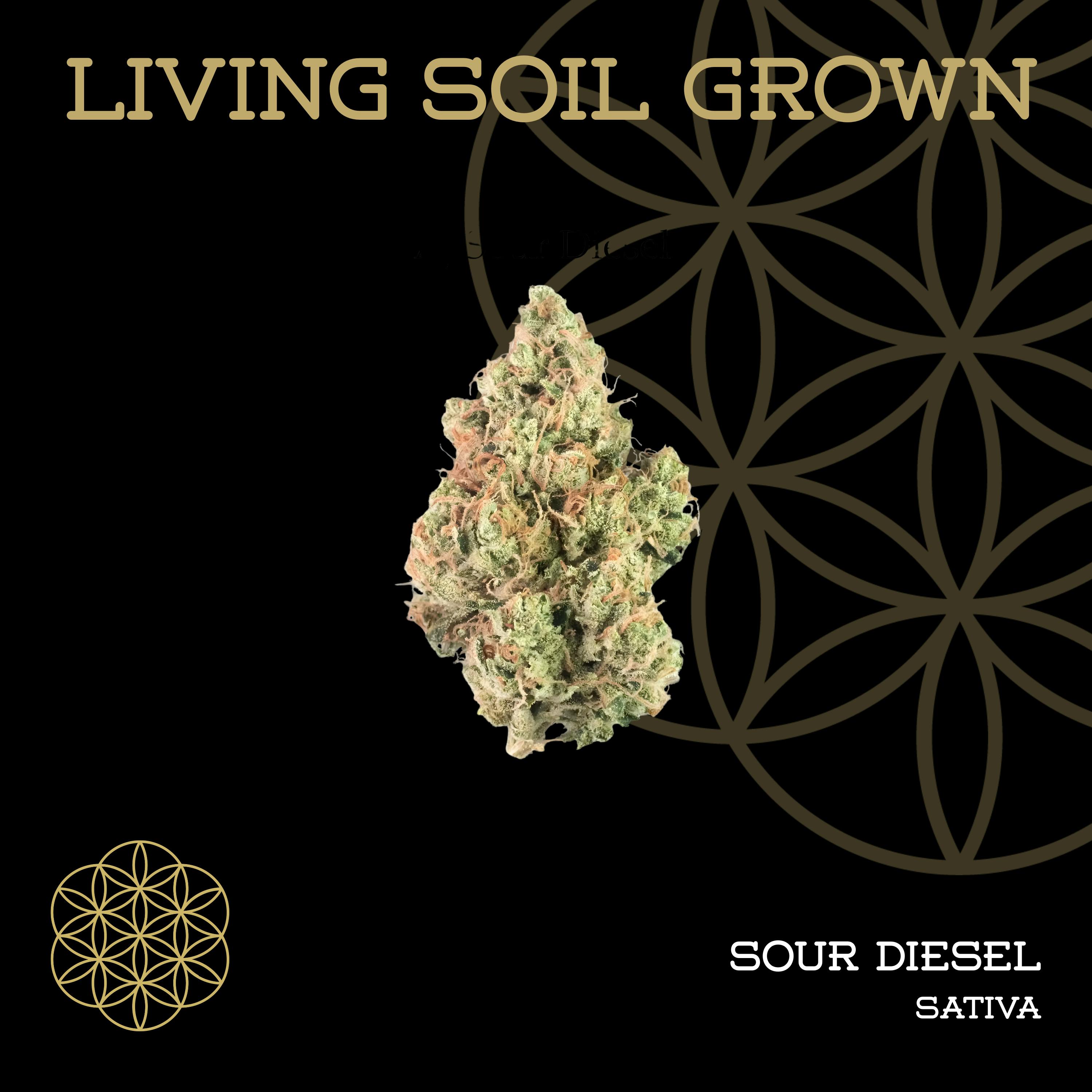 SOUR DIESEL 3.5G cannabis product
