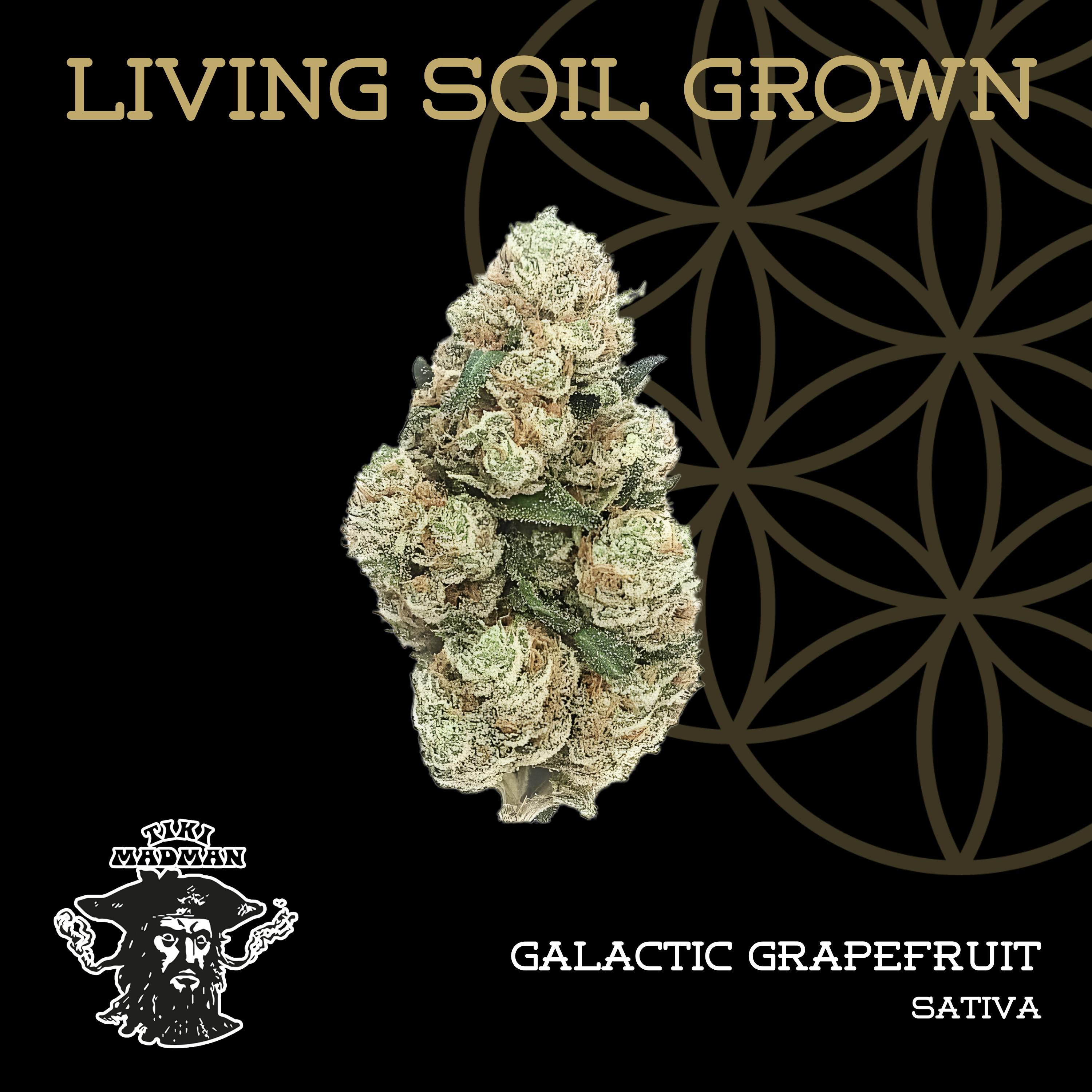 GALACTIC GRAPEFRUIT 28G