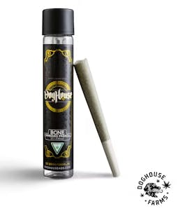 Petrol Parfait PR 1G