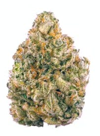 HOLLYWOOD RUNTZ - 3.5 g