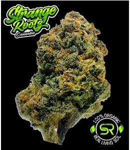 STRAWBERRIES & CREAM 3.5G (H)