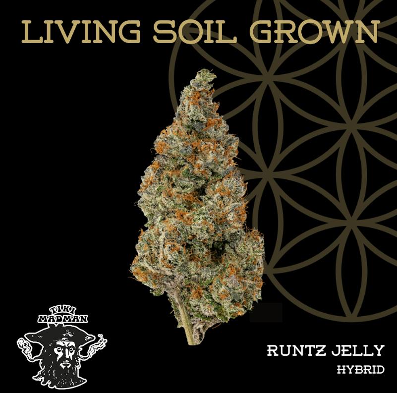 RUNTZ JELLY (H) - 28 g