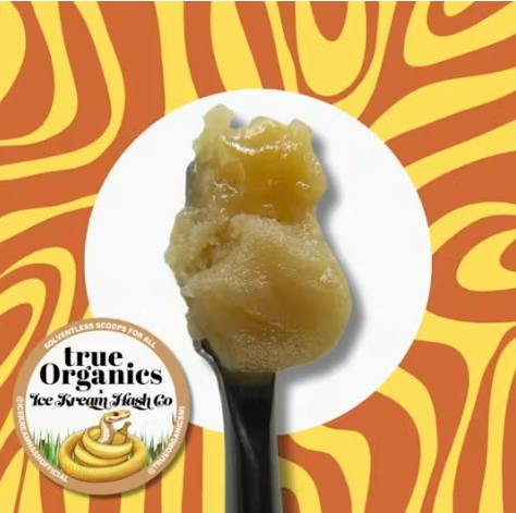 IKHCO X TRUE ORGANICS GASTROBOOF POP LIVE ROSIN 1G