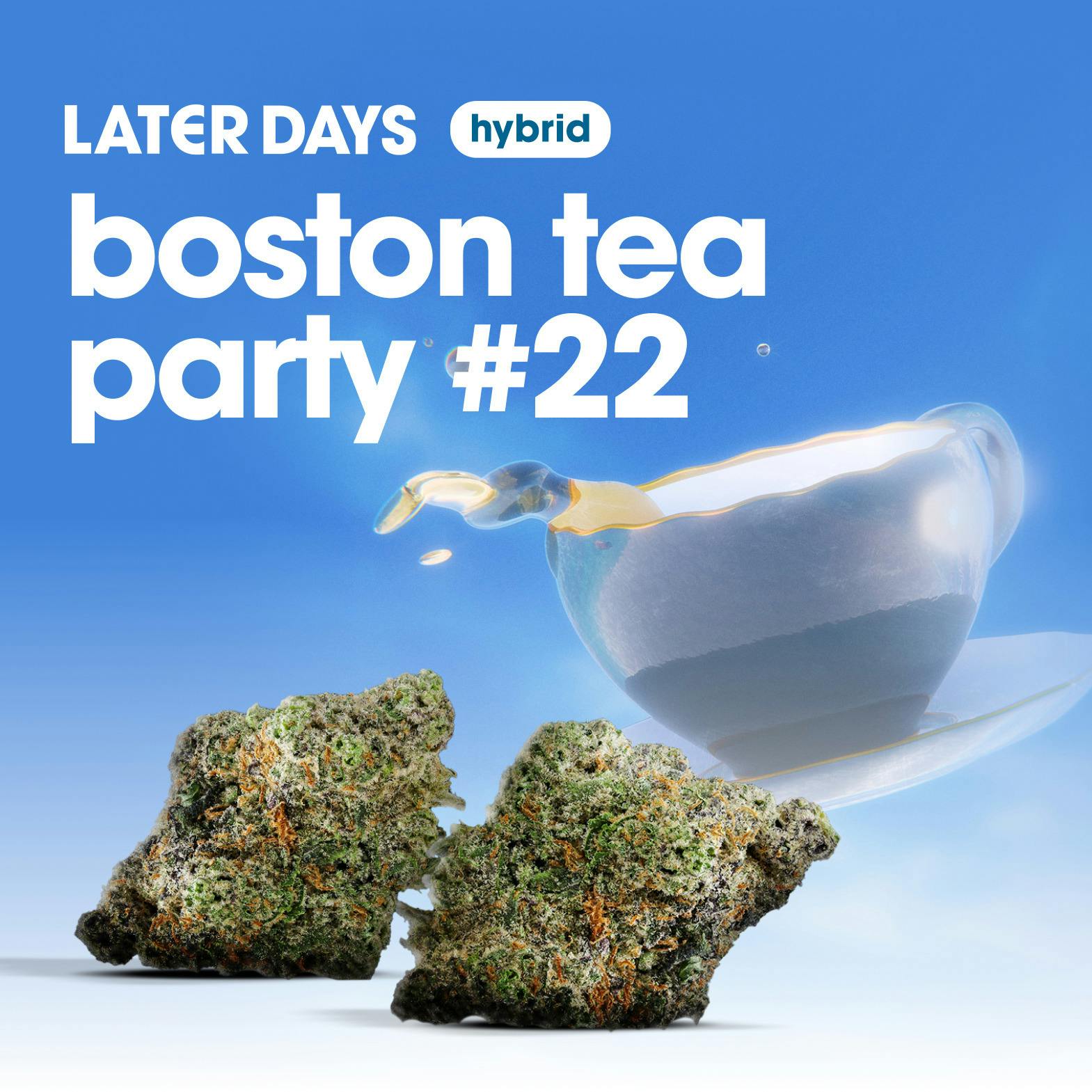 Boston Tea Party #22 Flower