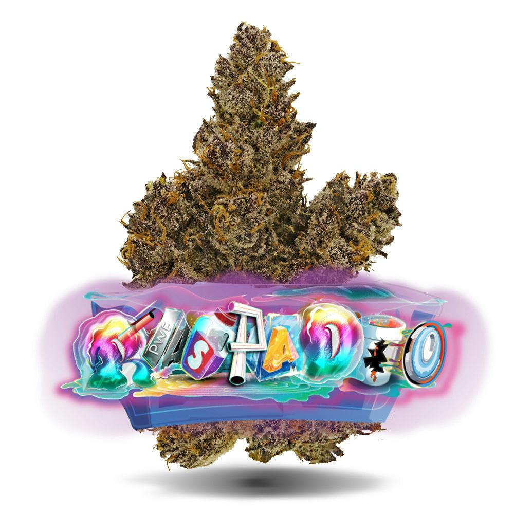 Raspado - 1/4 oz Premium Flower