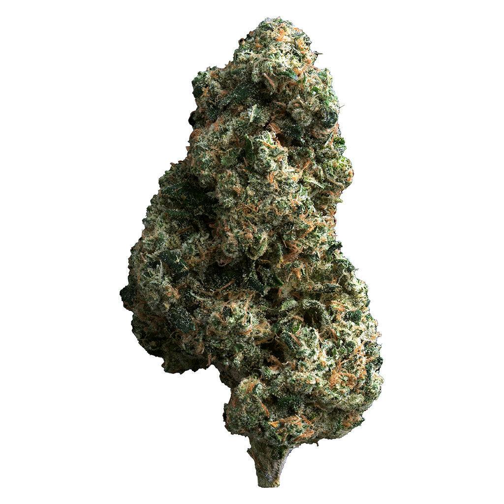 The Loud Plug - Cherry Diesel - 14g