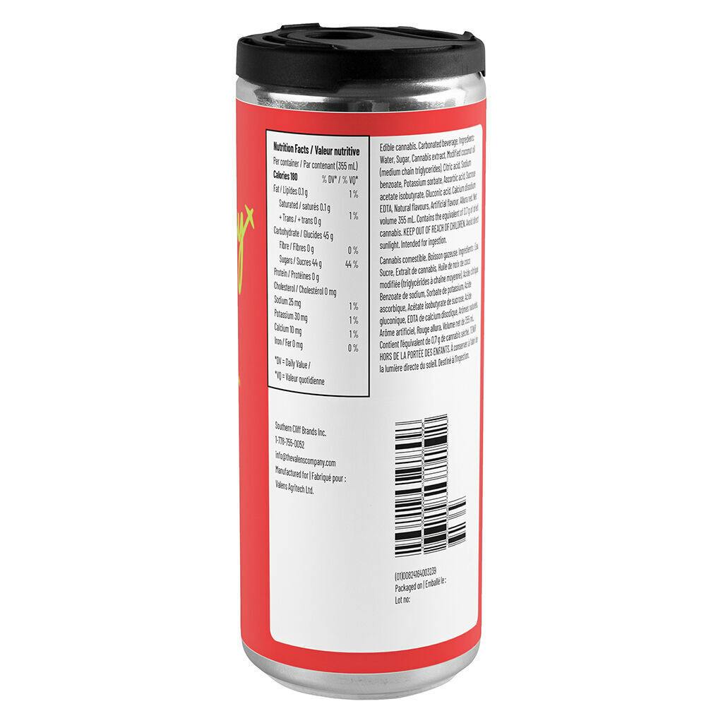 Vacay - Island Punch 1:1 - 355ml