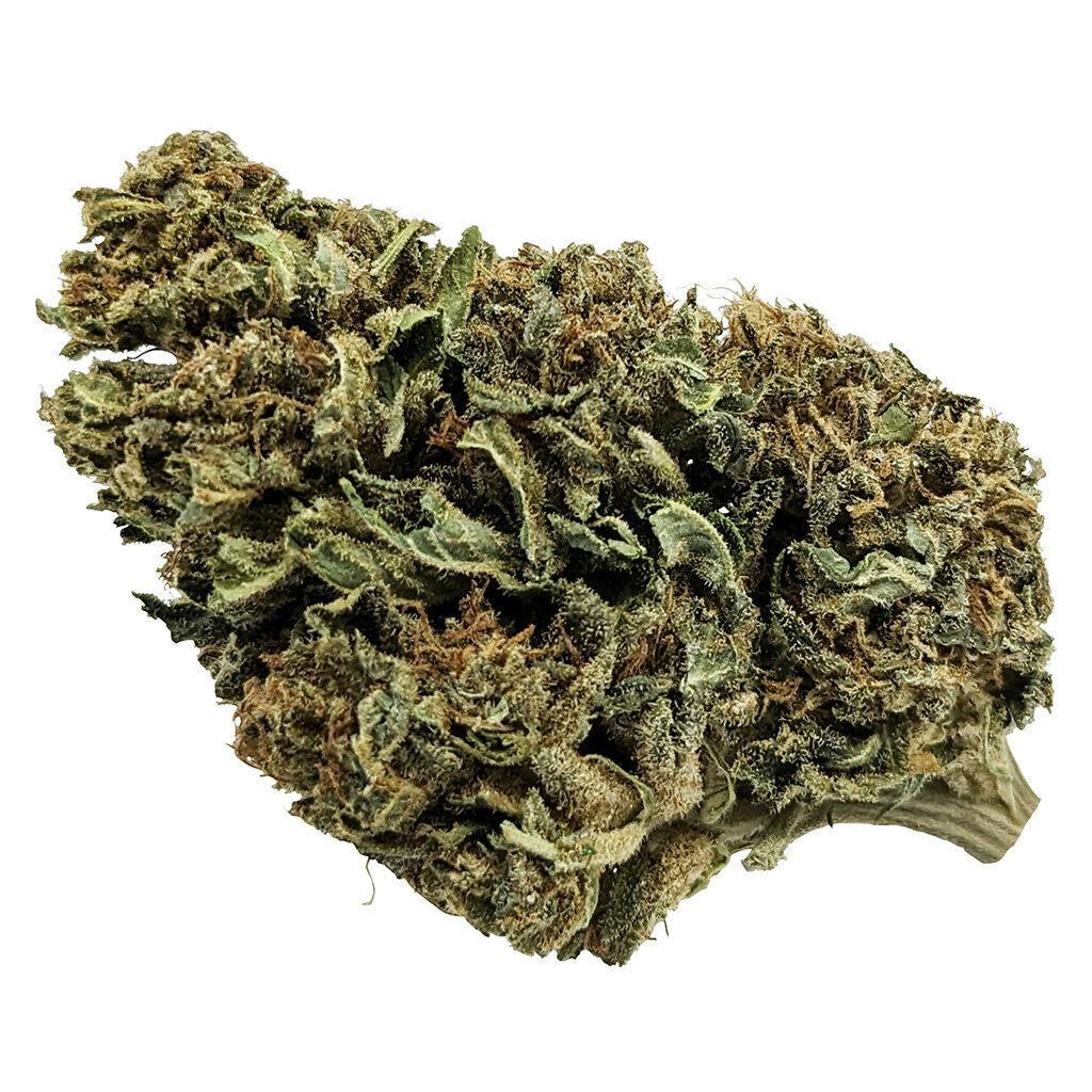 frank CBD - Whole Plant CBD Bud - 3.5g