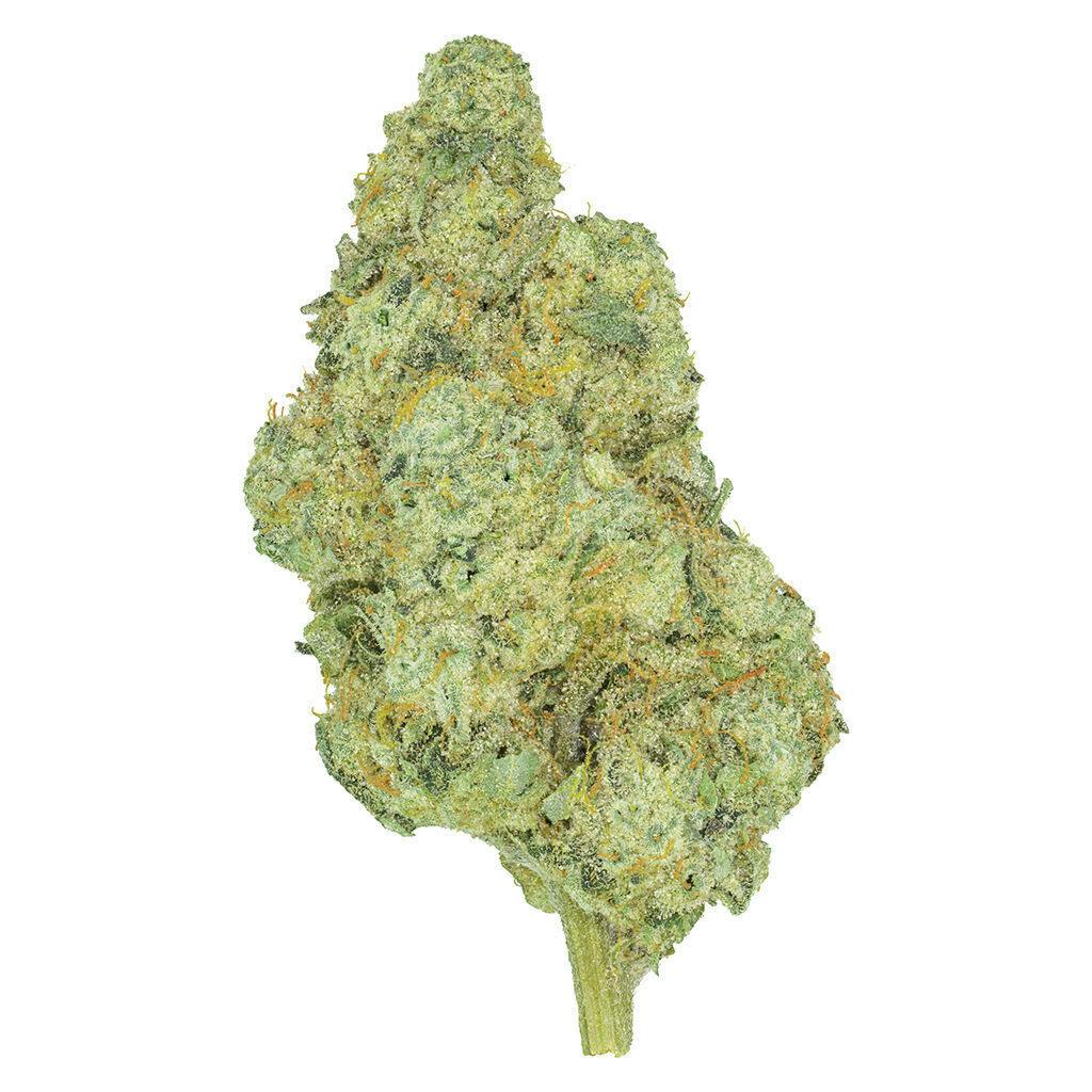 San Rafael '71 - Rotational - 3.5g
