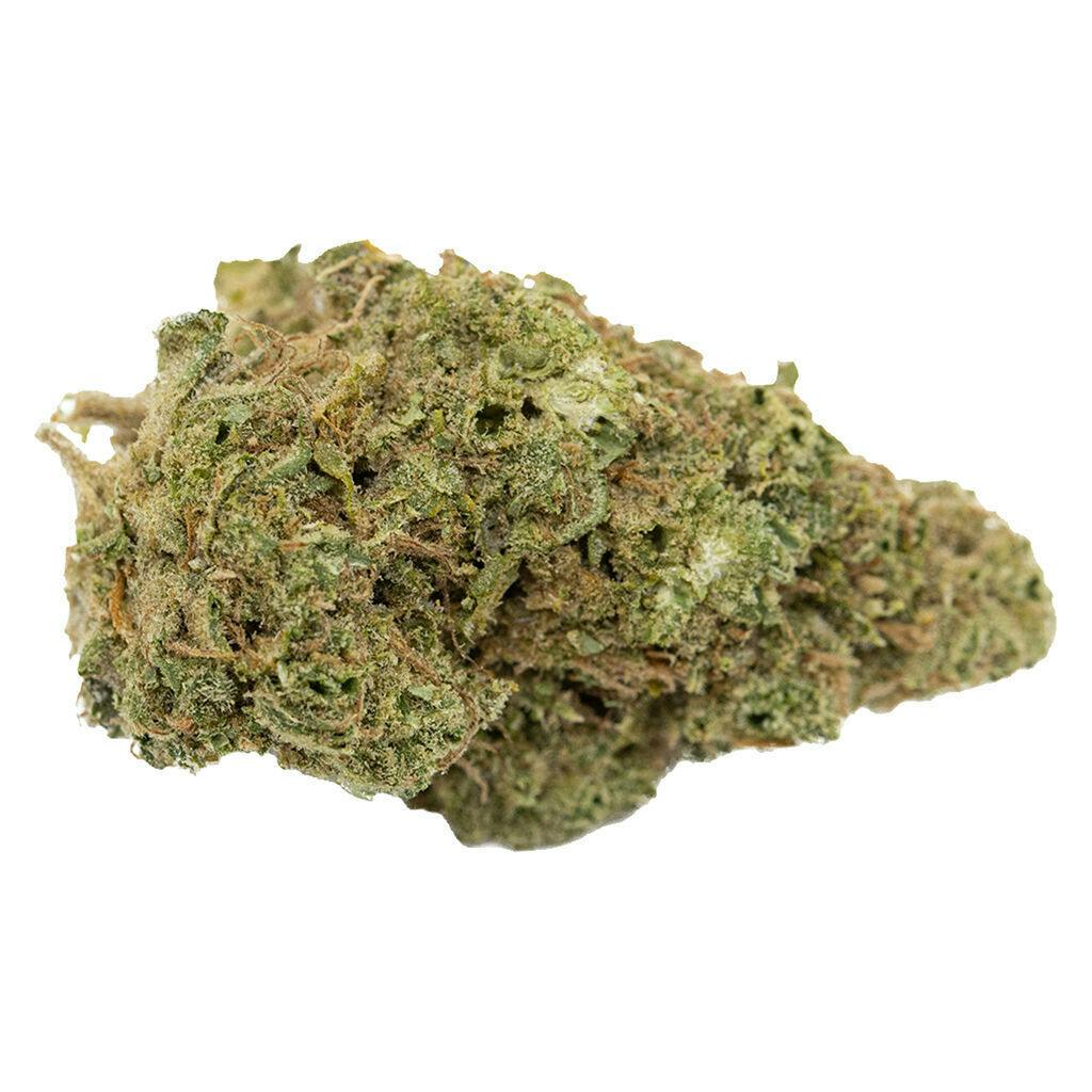 Melt - Dragon Cookies (Smalls) - 14g