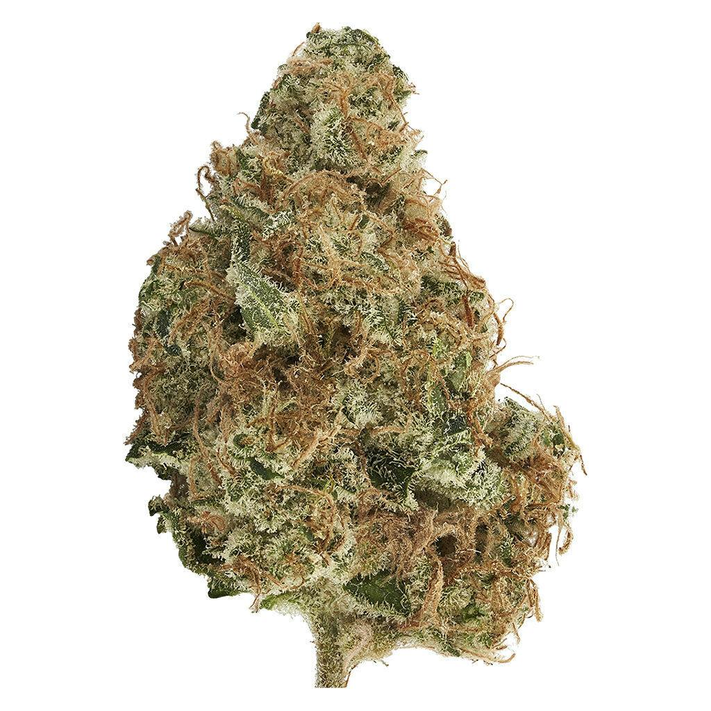 Bud Lafleur - Mymosa - 3.5g