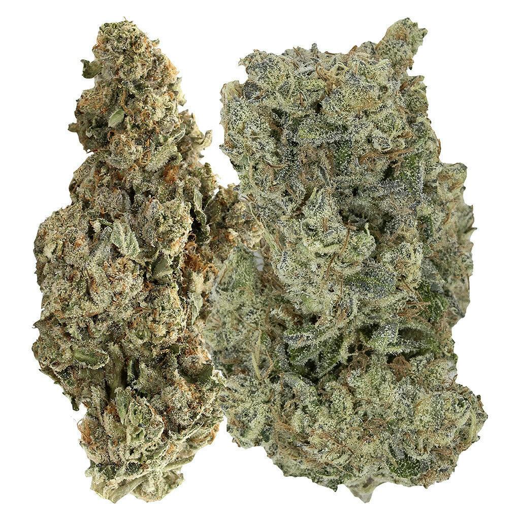 Pistol and Paris - Flavours - 7g