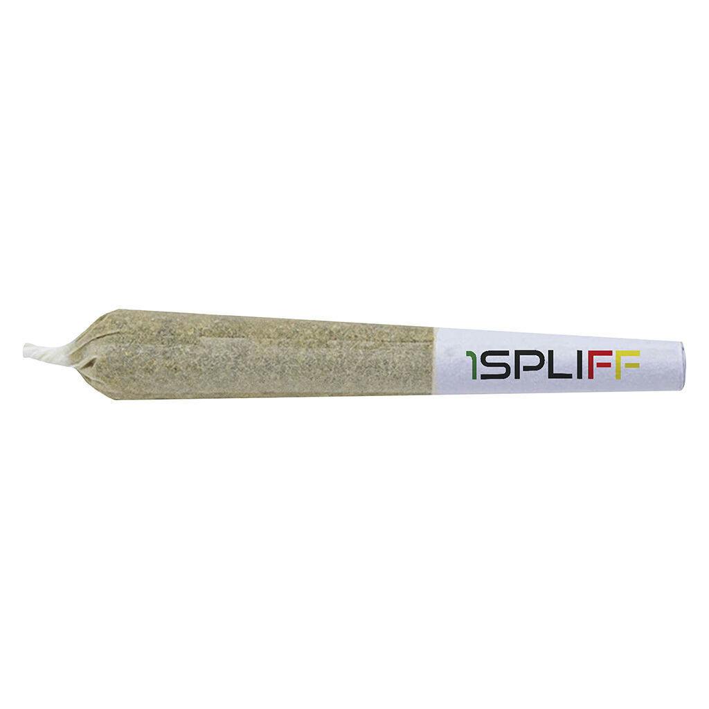 1Spliff Infused - Tiger's Blood Infused Pre-Roll - 3x0.5g