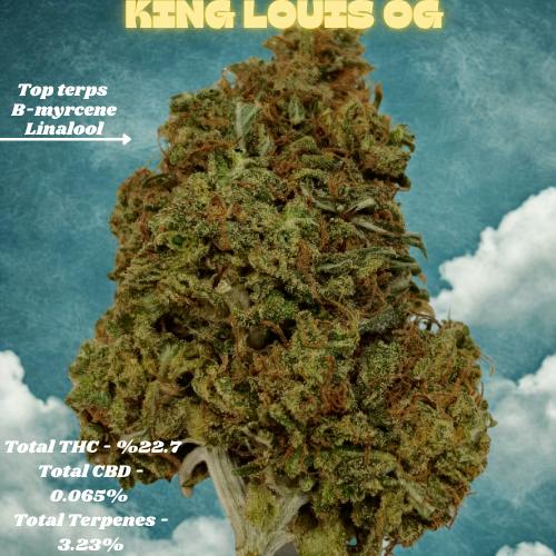 King Louis