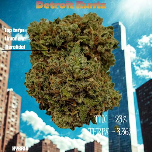 Detroit Runtz