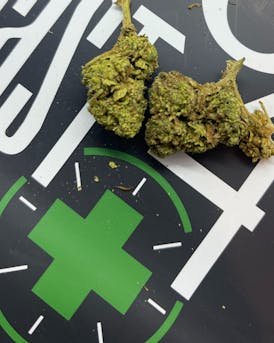 Michigan Roots | GMO | Bulk FLower