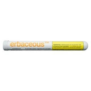 erbaceous - Everest Seeds (4)