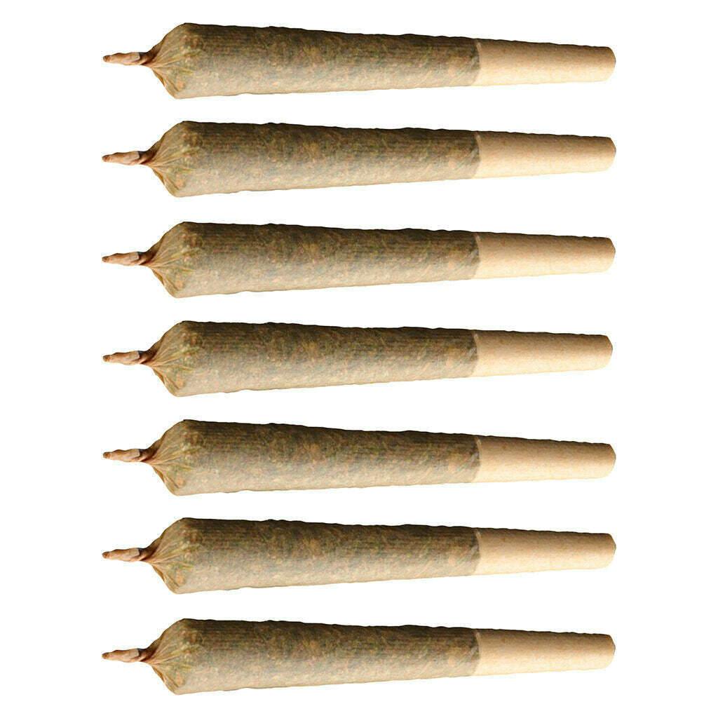The Karma Cup - Judging Kit: Hybrid Pre-Roll Selections - 7x1g
