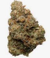 Carmel - Billy's Pheno - 7g